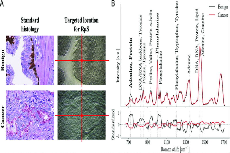 Olusium Technologies in Advanced Research Renjith Vijayakumar Selvarani